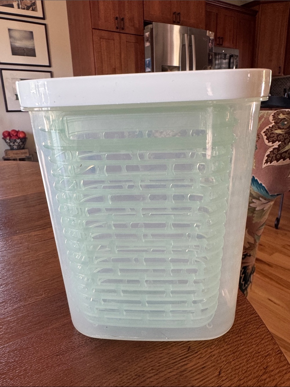 OXO Herb Keeper container with Inner Basket